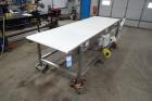 Transfer Conveyor